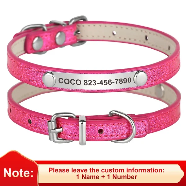 Custom Cat Collar