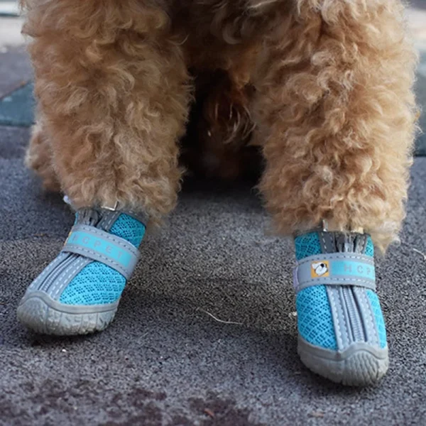 All-Weather Pet Shoes – Waterproof and Anti-Slip Dog Boots